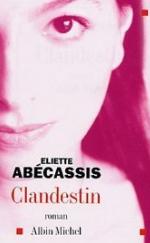 Couverture Clandestin