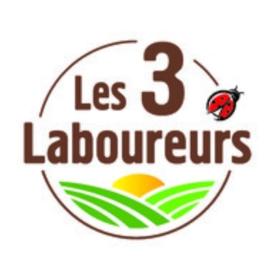 Image La pomme de terre